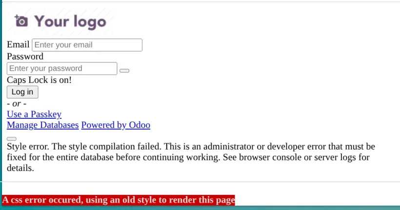 Odoo 19: "A css error occured, using an old style to render this page"
